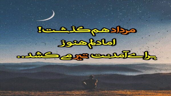  بیا که در بغل تنگت بگیرم صدای زن افغانی